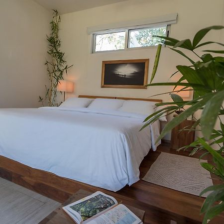 Moana Surf Resort Nosara Bagian luar foto