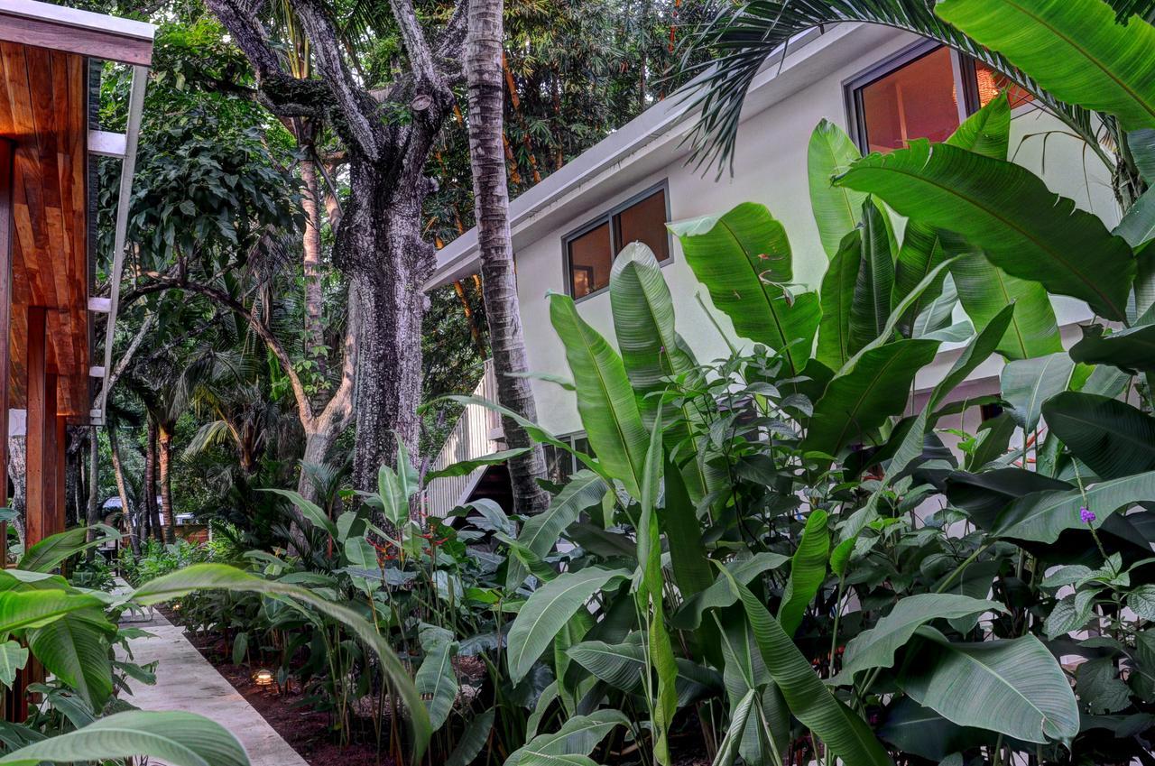 Moana Surf Resort Nosara Bagian luar foto