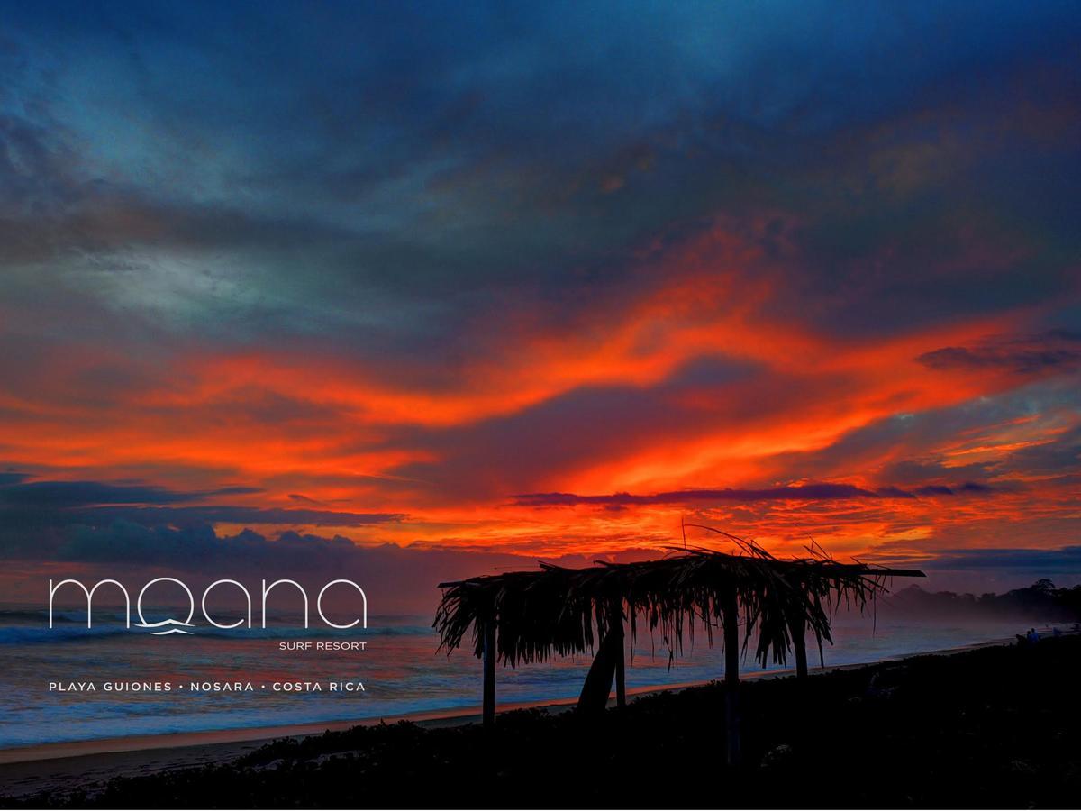 Moana Surf Resort Nosara Bagian luar foto